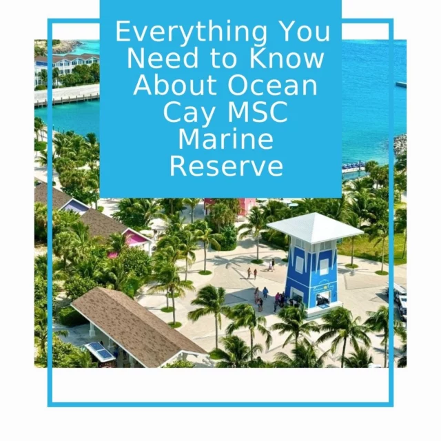 Take a deep dive into our latest blog post where we provide a complete guide on Ocean Cay MSC Marine Reserve - MSC Cruises' private island in the Bahamas! 🔗 See link in bio to read the full post. #TravelGuides #MSCCruises #itsbetterinthebahamas #eatsleepcruise #oceancay #cruiseship #cruiselife #cruisetips